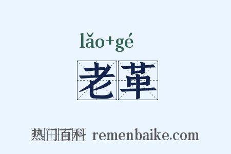 老革是什么意思的图片